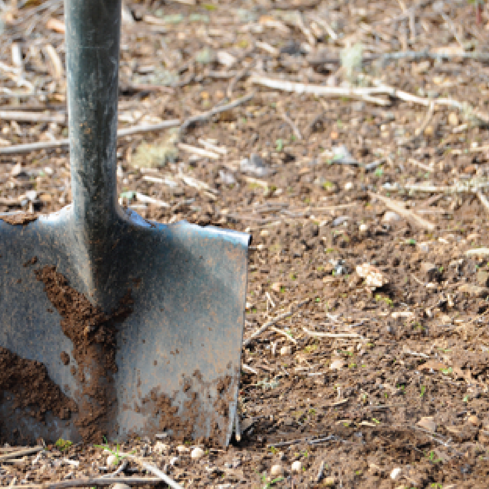 Mulch, grond en stenen