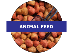 Animal Feed