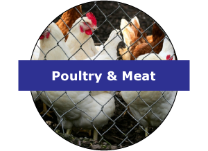 Poultry & Meat