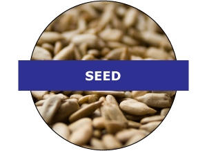 Seed