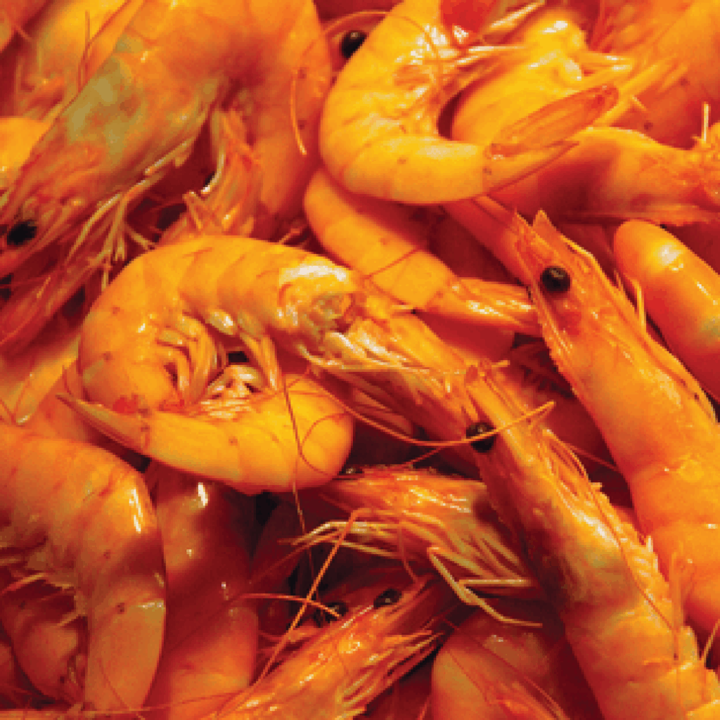 Seafood Frozen or Fresh